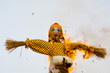 Traditional off winter in Russia, burning effigies of carnival.