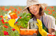 gartenarbeit