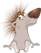 Vector: Small hedgehog. Cartoon Small hedgehog. Cartoon