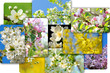 Frühling 200