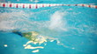 Video: training, swimming pool training, swimming pool