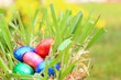 canvas print picture - ostereier im garten