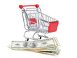 The shopping cart isolated on white