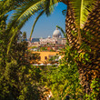 Distant View of Basilica Sant Pietro in Vatican through palms