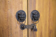 Lion head door knocker on the wood door