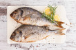 Seafood, luxurious mediterranean style.
