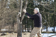 Mid aged man gardener cutting fruit tree