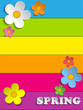 Beautiful Spring Flowers Rainbow Background