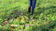 sexy woman jeans rubber boots climb walk upstair stair park hill