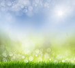 spring background