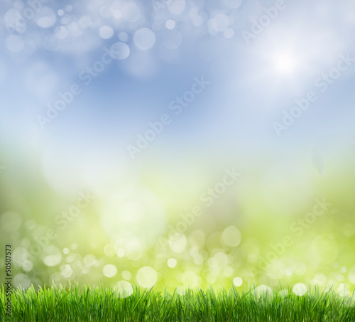 Photo: spring background spring background
