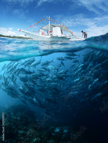 Photo: Fish Fish