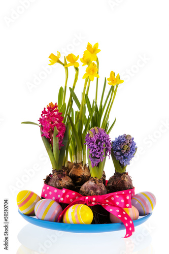 Photo: Daffodils and hyacinths Daffodils and hyacinths