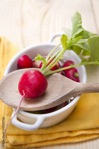 Photo: product from the garden, fresh radish product from the garden, fresh radish