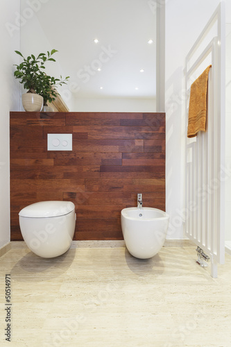 Photo: Toilet and a bidet Toilet and a bidet