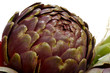 Carciofi