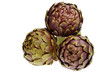 Carciofi