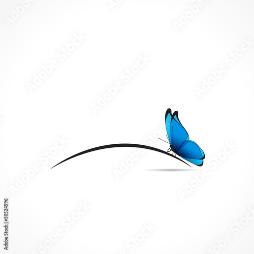 Vector: Petit papillon bleu Petit papillon bleu