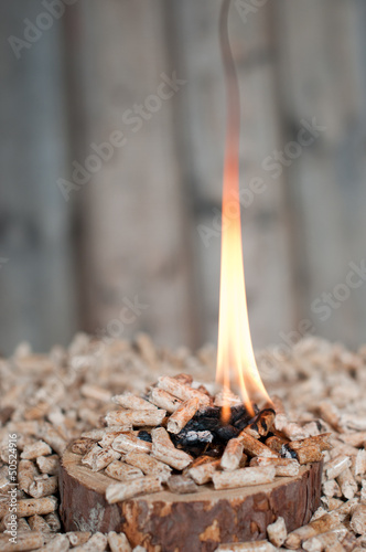 Photo: Alternative energy Alternative energy