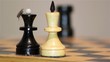 chess game, chess fly