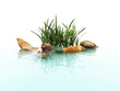 stone and grass in water waves