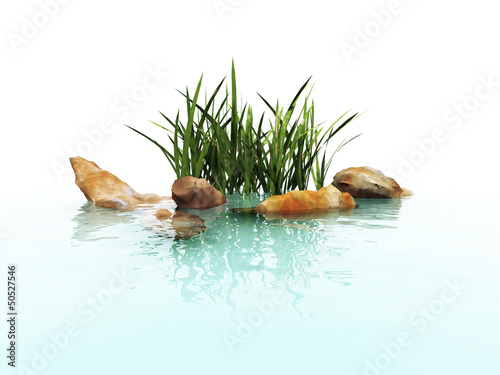 Illustration: stone and grass in water waves stone and grass in water waves
