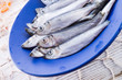 herrings