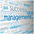MANAGEMENT Tag Cloud (leadership performance decision-making)