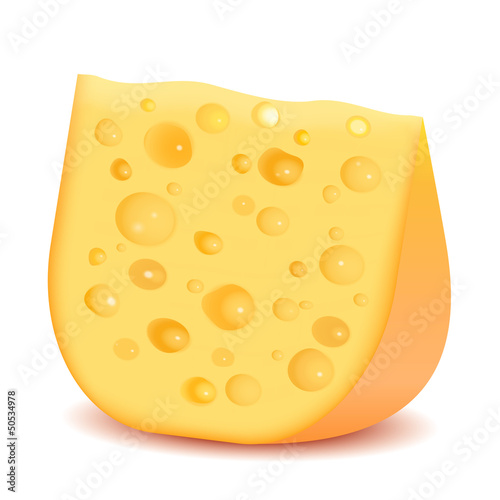Vector: Cheese isolated on white Cheese isolated on white