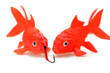 vorsichtige Goldfische