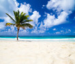 tropical beach