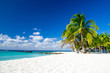 tropical beach