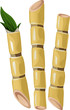 sugarcane