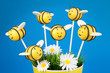 Bee cake pops