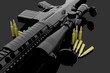 Gun