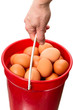 Photo: Bucket with eggs Bucket with eggs