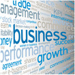 "BUSINESS" Tag Cloud (strategy finance profit success)