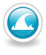 Light Blue Icon "Tsunami"