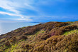 southwest coastal path whitsands, Cornwall,