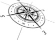 Vector: Windrose Windrose