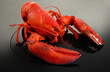 Red Lobster, On Grey Background