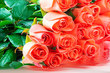 Bouquet of pink roses