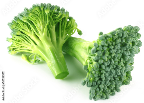 Photo: Fresh Broccoli Fresh Broccoli