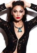 sexy stylish brunette model with bright makeup, with red lips