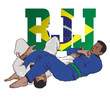 Brazilian Fighter