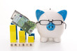 Piggy bank wearing glasses with crisis message