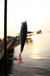 Fishing lure.