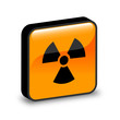 ICONE NUCLEAR