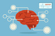 brain infographic, vector