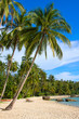 Tropical beach, Thailand